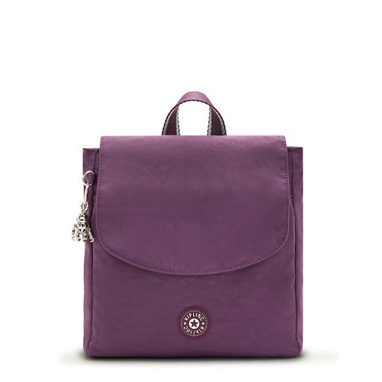 Kipling Dannie Small Rugzak Paars | BE 1549OK